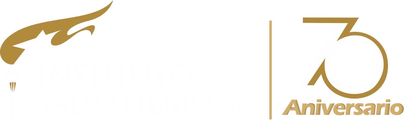 Instituto Salvatierra